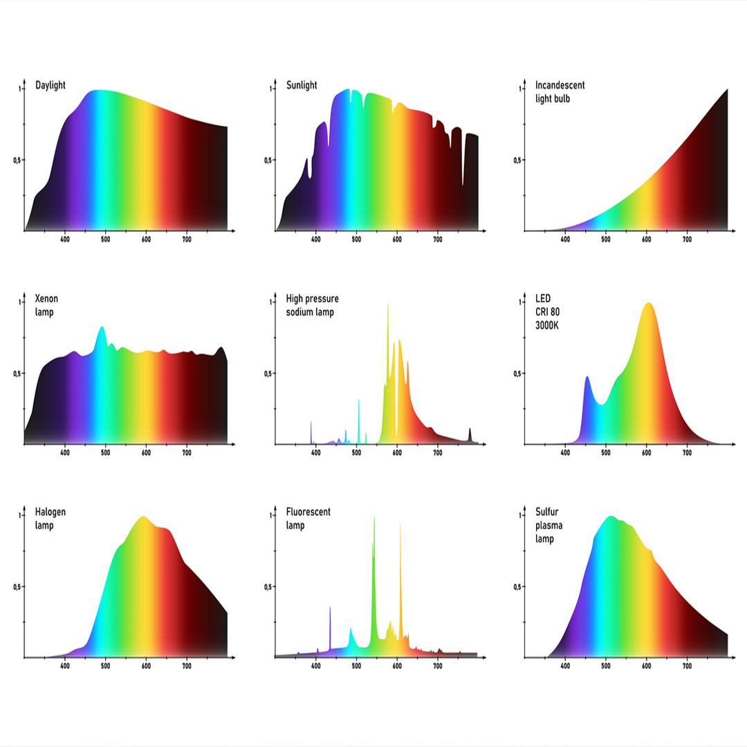 grafik-lichtspektrum-fuer-pflanzen-tageslicht-led-lampe-halogen-lampe