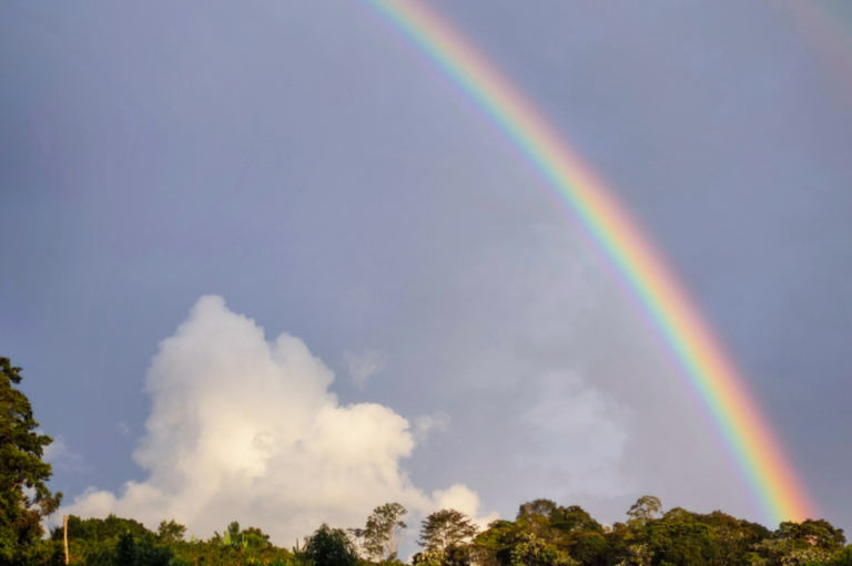 licht-pflanzen-par-regenbogen
