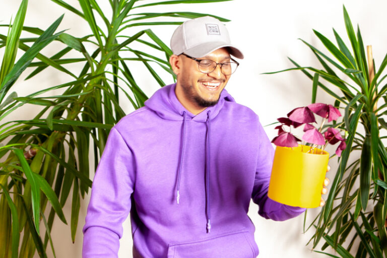 somesh_plantoftheweek-oxalistriangularis