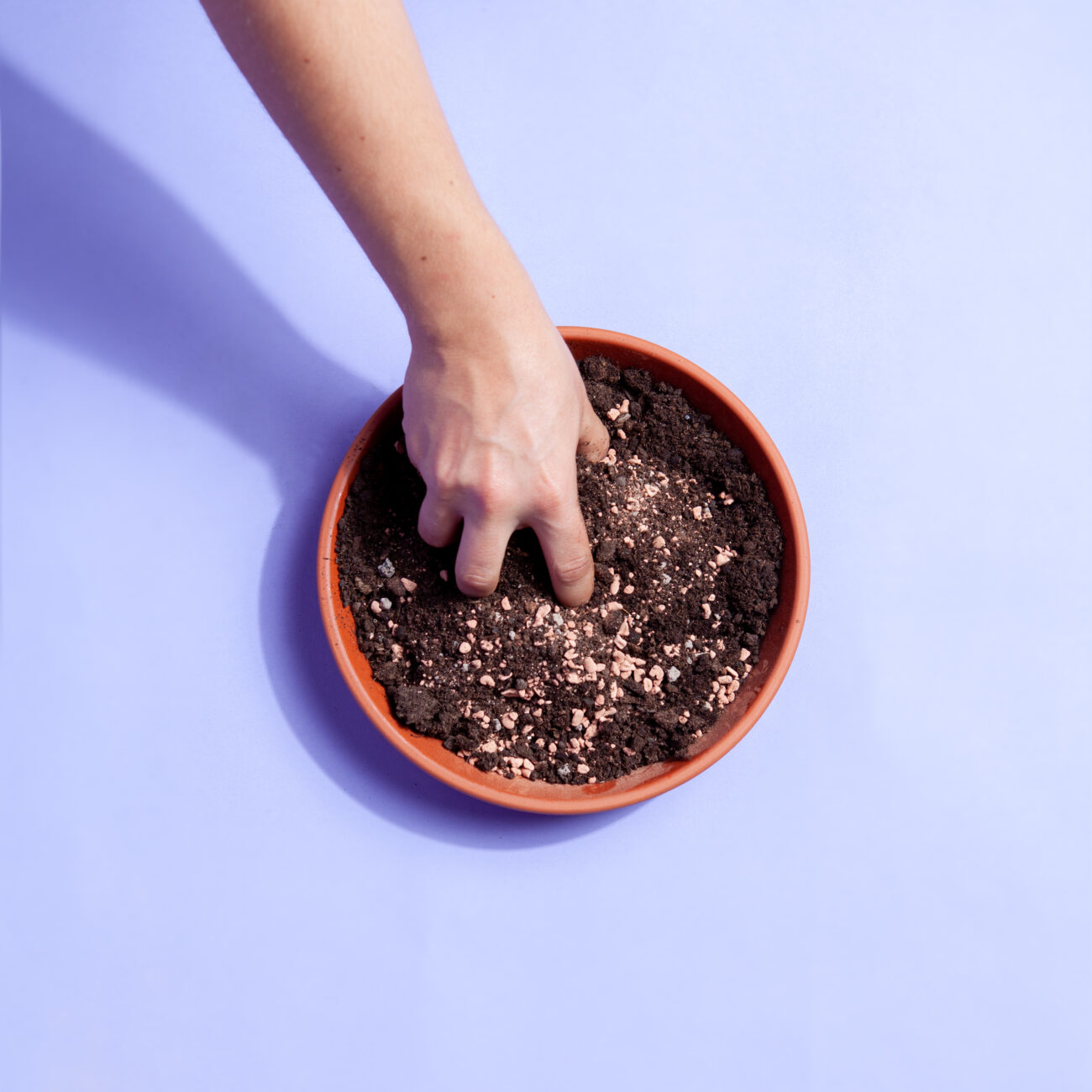 umtopfen-eigenes-substrat-anmischen