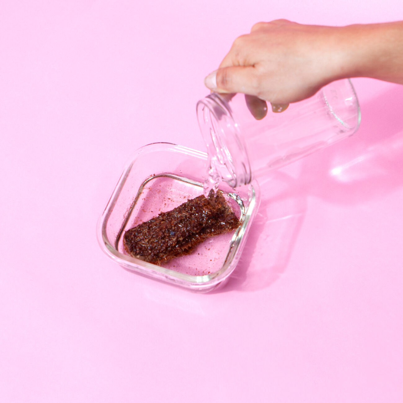 Kokosfaser-SpaghnumMoos-Wasser