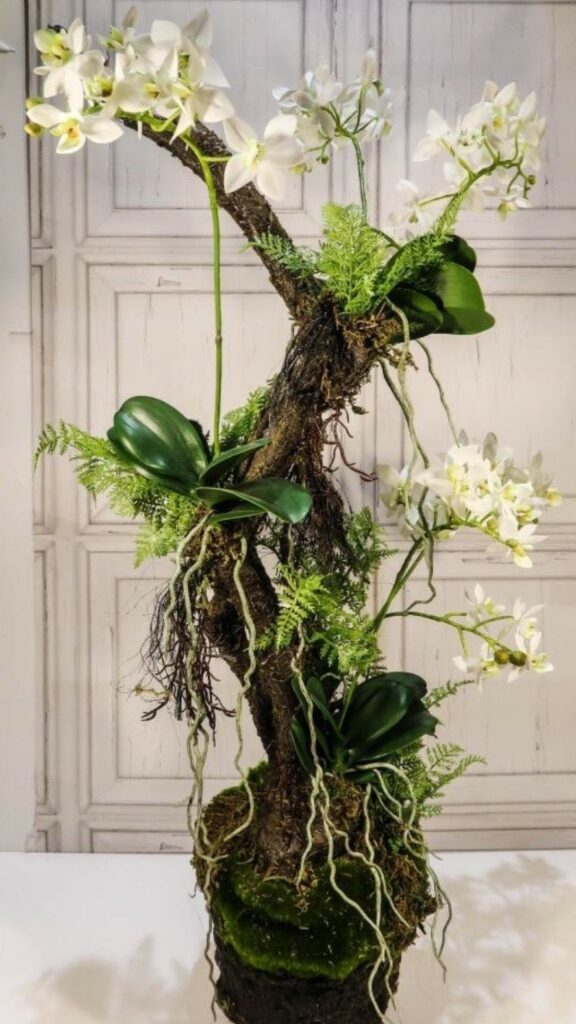 Dead tree trunk as a climbing aid