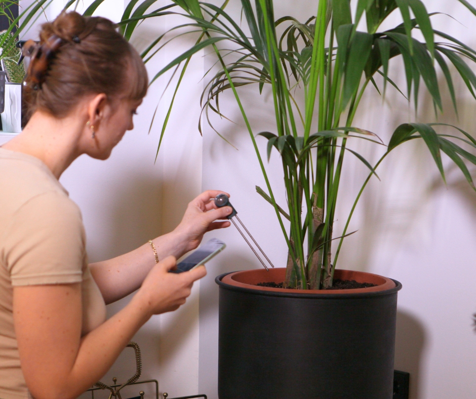 Parameter Bilder Artikel